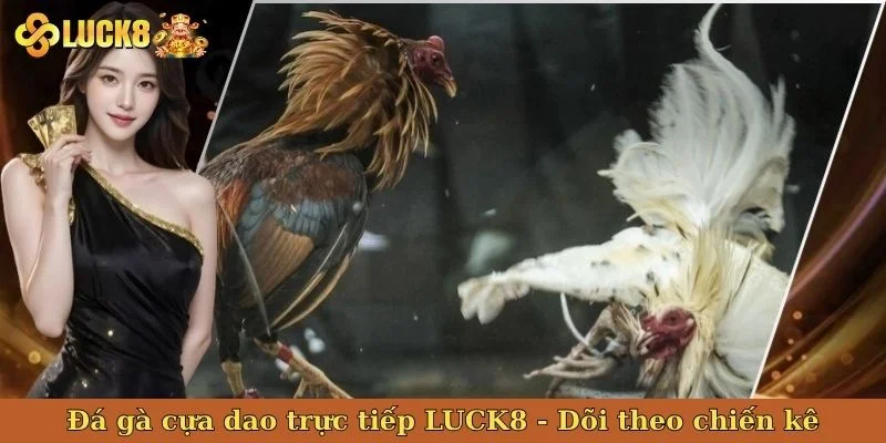 da-ga-cua-dao-truc-tiep-bia