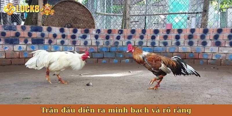 tran-dau-dien-ra-minh-bach-va-ro-rang
